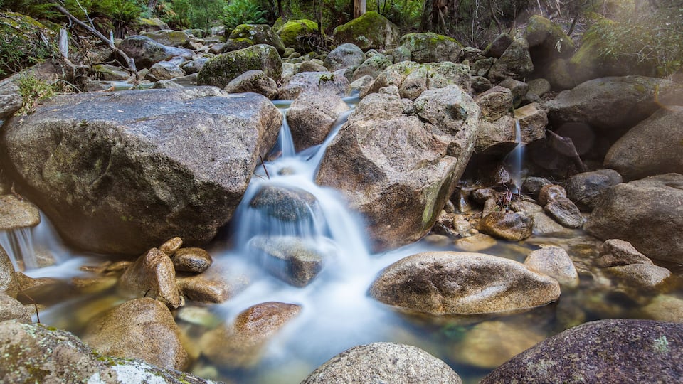 A stream flowing over rocks in a forested area.