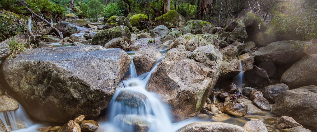 A stream flowing over rocks in a forested area.