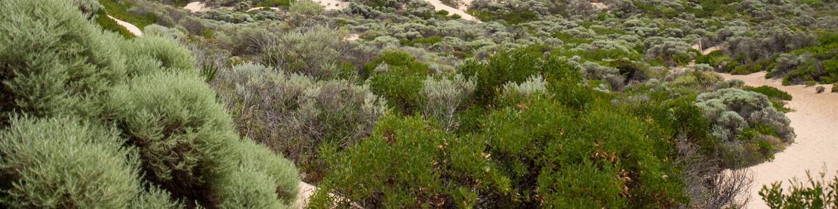 Where Qunninup Brook meets the Indian Ocean, Leeuwin Naturaliste National Park, Western Australia