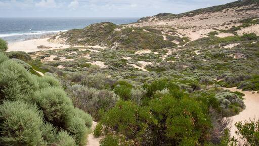 Where Qunninup Brook meets the Indian Ocean, Leeuwin Naturaliste National Park, Western Australia