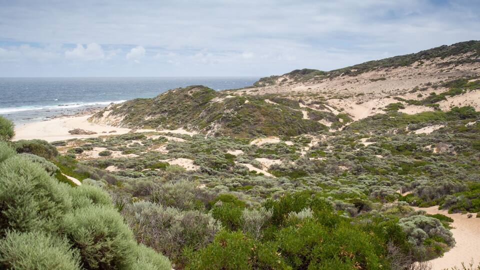 A coastal landscape with a sandy beach, green shrubbery, and a view of the ocean.
