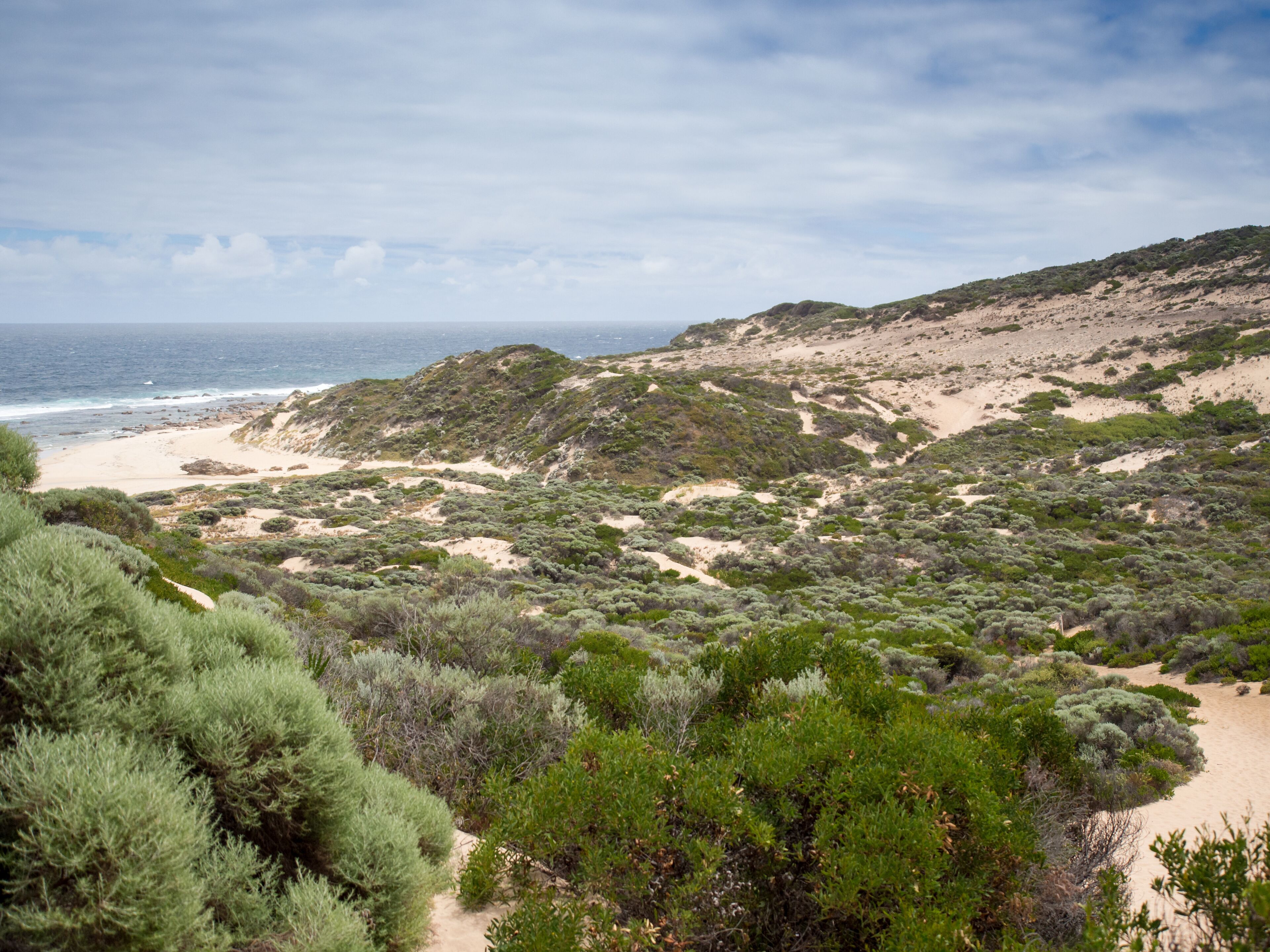 A coastal landscape with a sandy beach, green shrubbery, and a view of the ocean.