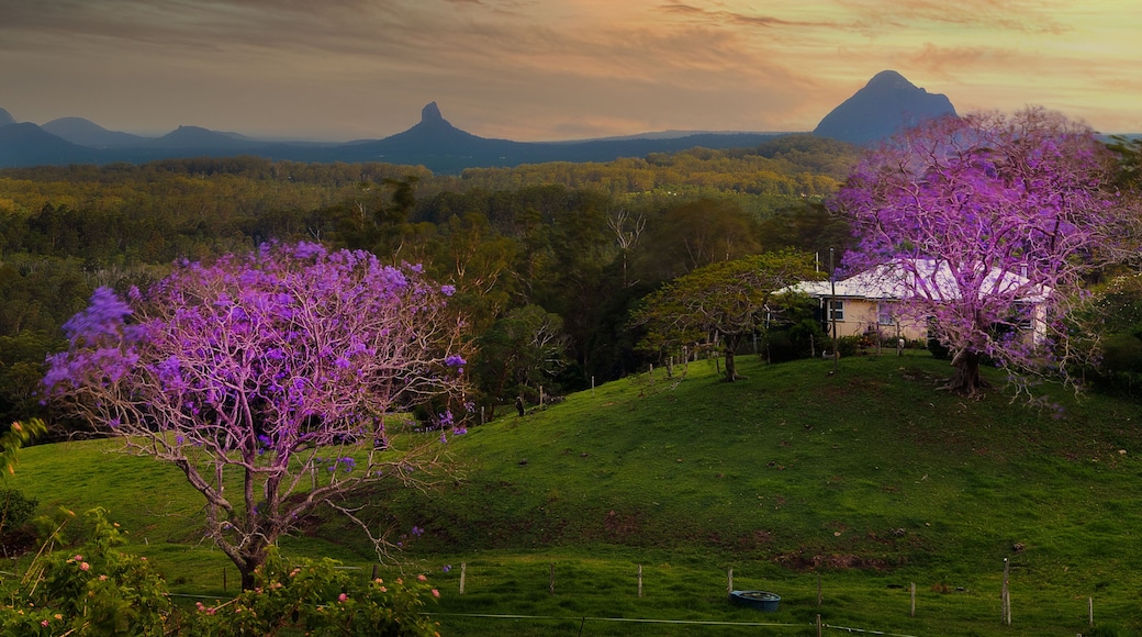 A landscape with a mountain range, purple flowering trees, and a house.
