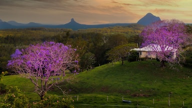 Eine Landschaft mit einem Gebirge, blühenden violetten Bäumen und einem Haus.