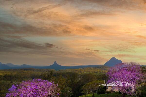 A landscape with a mountain range, purple flowering trees, and a house.
