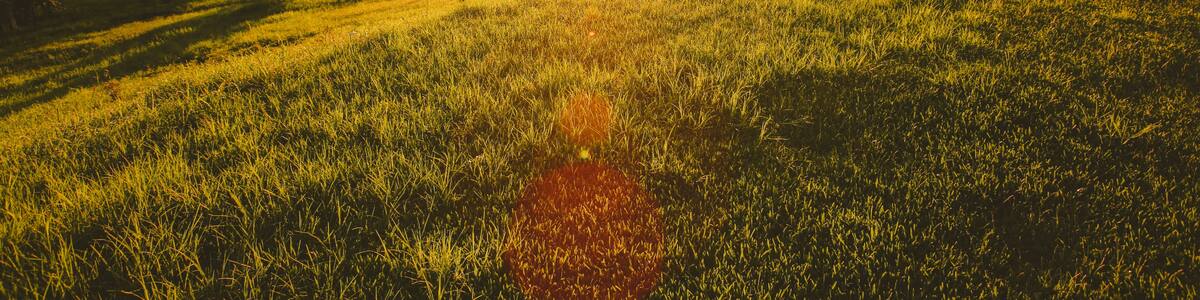 House in the ranch. barn and farmhouse in a pasture in the morning, North Maleny is a rural locality in the Sunshine Coast Region, Queensland, Australia