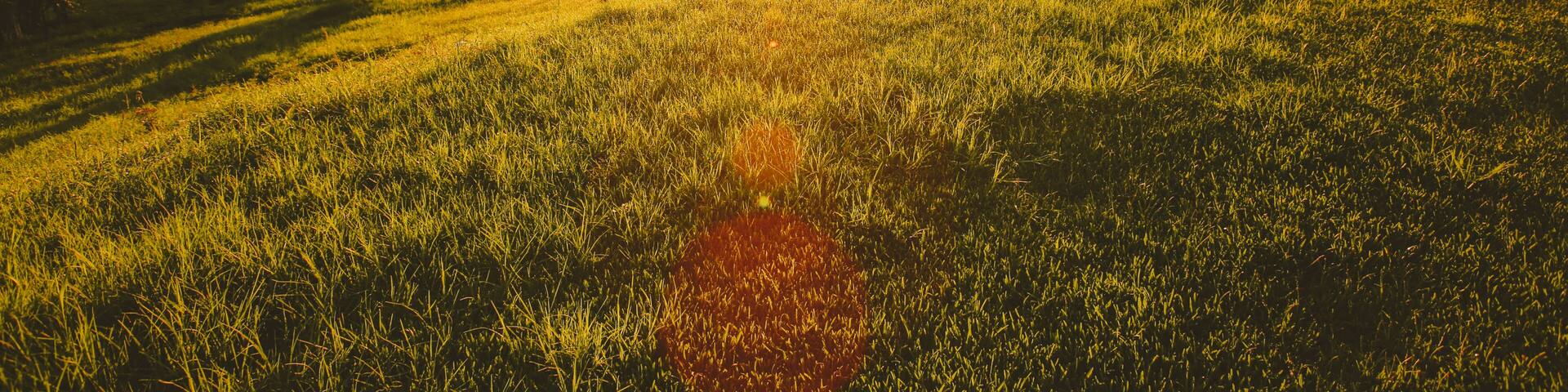 House in the ranch. barn and farmhouse in a pasture in the morning, North Maleny is a rural locality in the Sunshine Coast Region, Queensland, Australia