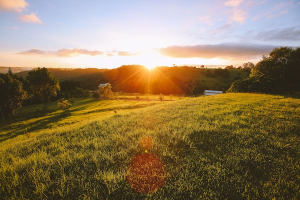 House in the ranch. barn and farmhouse in a pasture in the morning, North Maleny is a rural locality in the Sunshine Coast Region, Queensland, Australia