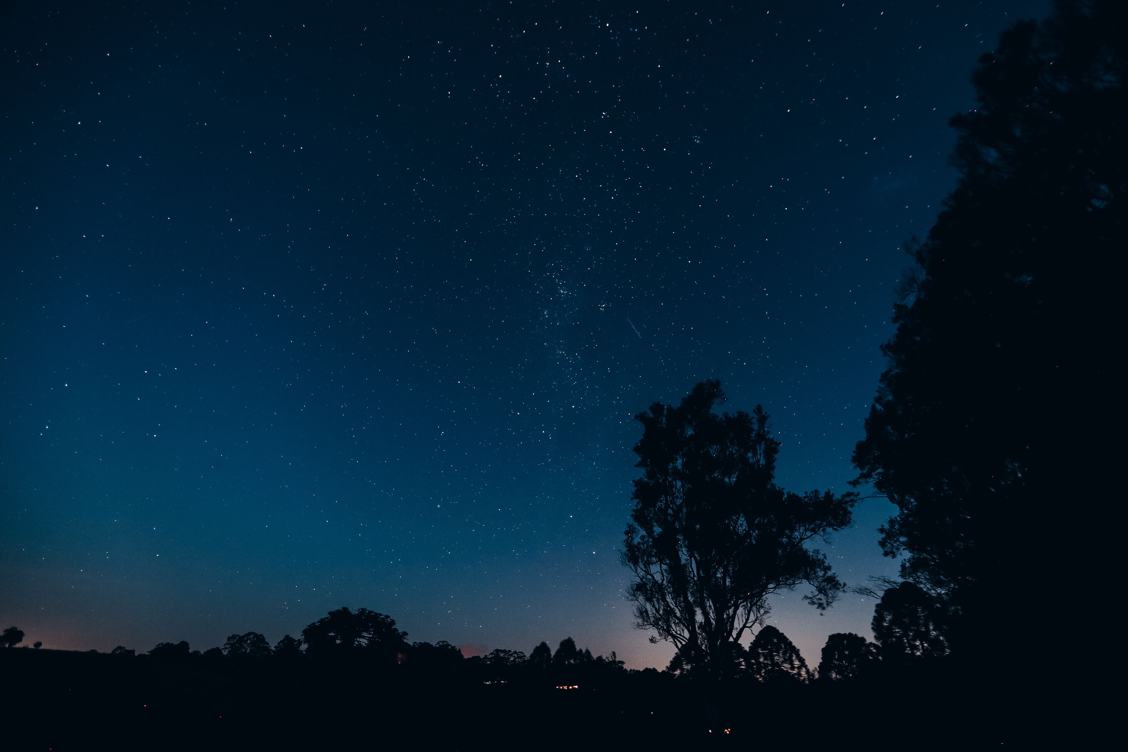 A night sky filled with stars, a silhouette of a tree, and a distant horizon line.