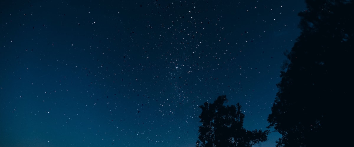 A night sky filled with stars, a silhouette of a tree, and a distant horizon line.