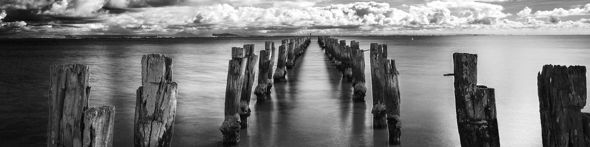 View of woods on sea in Bellarine Peninsula in black and white