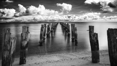View of woods on sea in Bellarine Peninsula in black and white