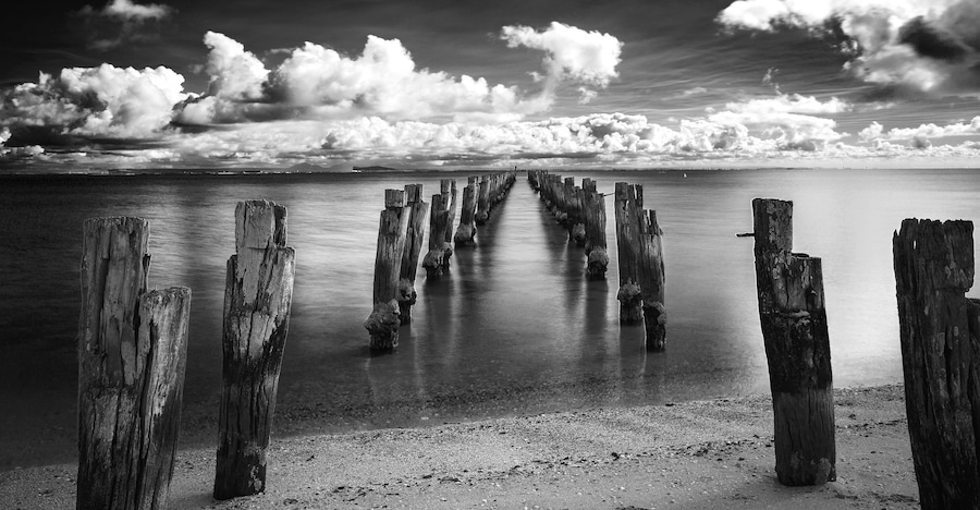 View of woods on sea in Bellarine Peninsula in black and white