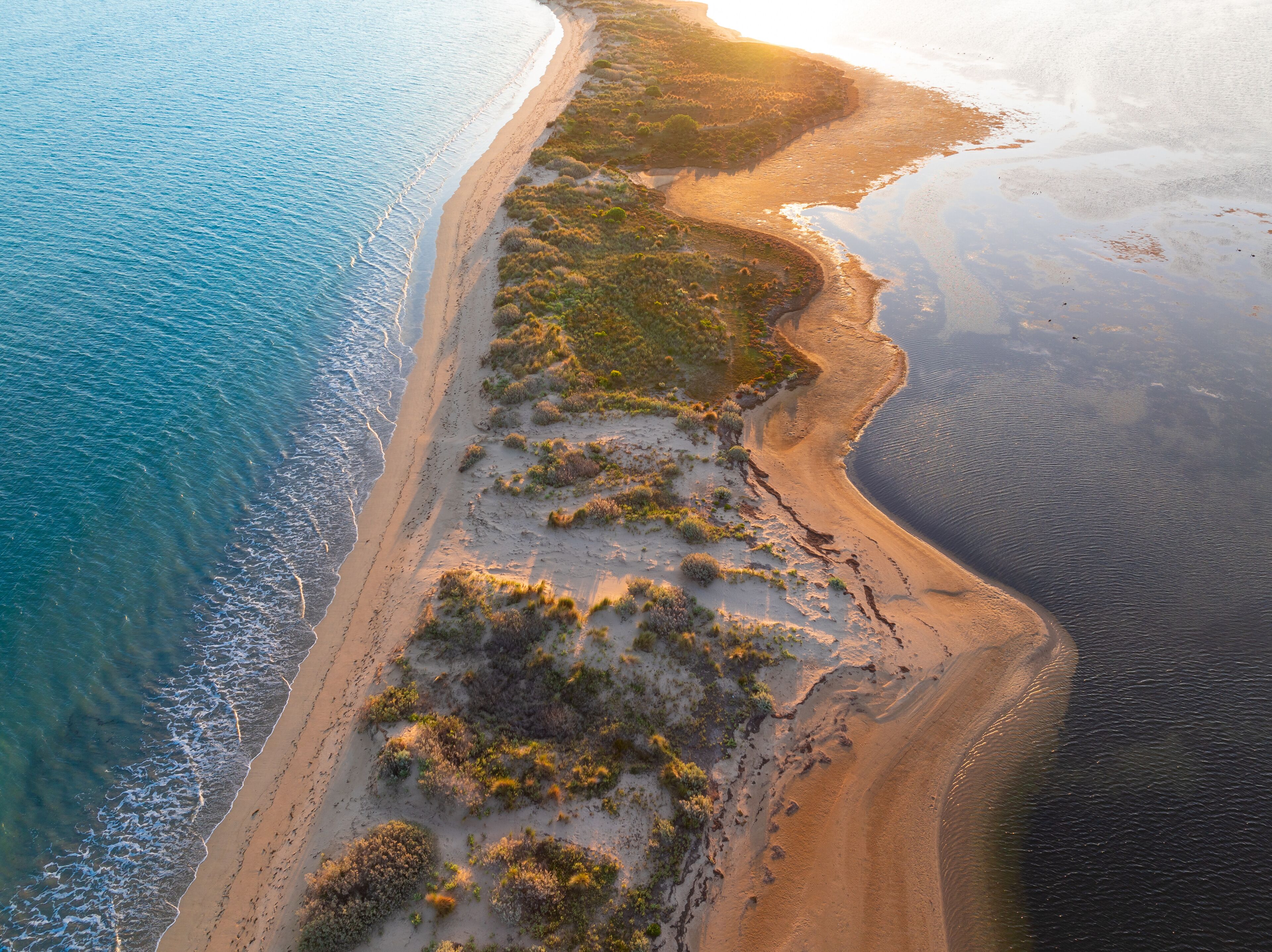Coastal vegetation on an eroded sand spit with ocean on both sides