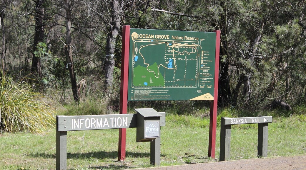 Ocean Grove nature reserve is one of the original areas of native bushland on the Bellarine Peninsula. You get a lot of interesting wildlife here including swamp wallabies. It's close to public transport. #localgem