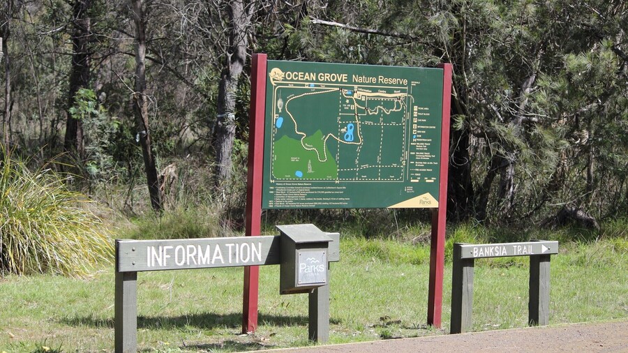 Ocean Grove nature reserve is one of the original areas of native bushland on the Bellarine Peninsula. You get a lot of interesting wildlife here including swamp wallabies. It's close to public transport. #localgem