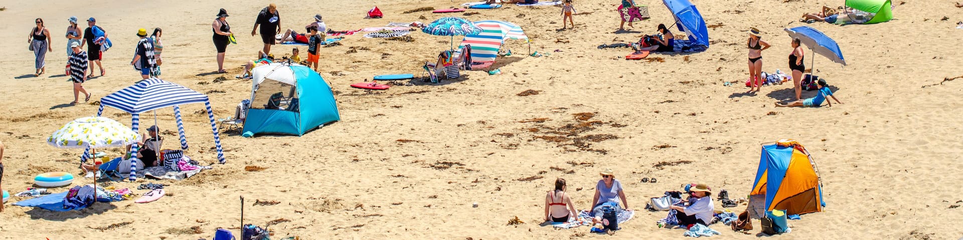 A busy beach at Queenscliff on a warm summer day, with beachgoers and their umbrellas and beach tents spread along the sandy shoreline, enjoying various beach activities. Victoria, Australia.