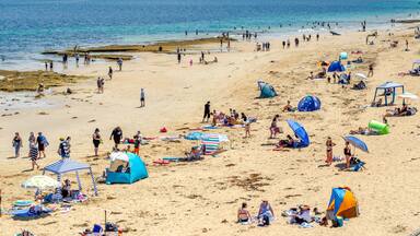 A busy beach at Queenscliff on a warm summer day, with beachgoers and their umbrellas and beach tents spread along the sandy shoreline, enjoying various beach activities. Victoria, Australia.