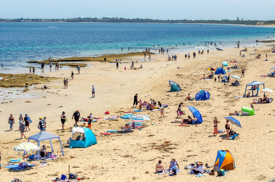 A busy beach at Queenscliff on a warm summer day, with beachgoers and their umbrellas and beach tents spread along the sandy shoreline, enjoying various beach activities. Victoria, Australia.