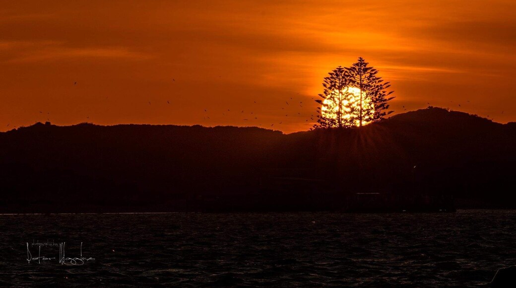 Sunset at Penguin Island