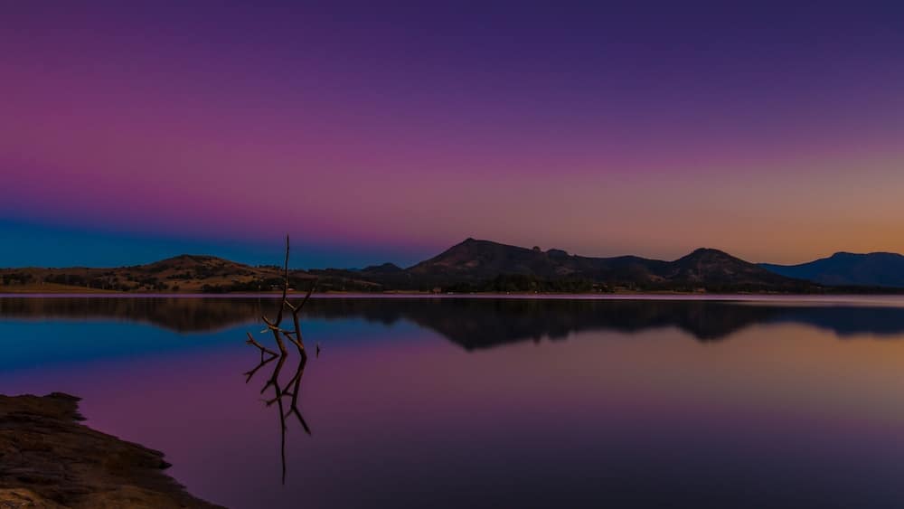 A calm lake with mountains in the background and a tree in the foreground.