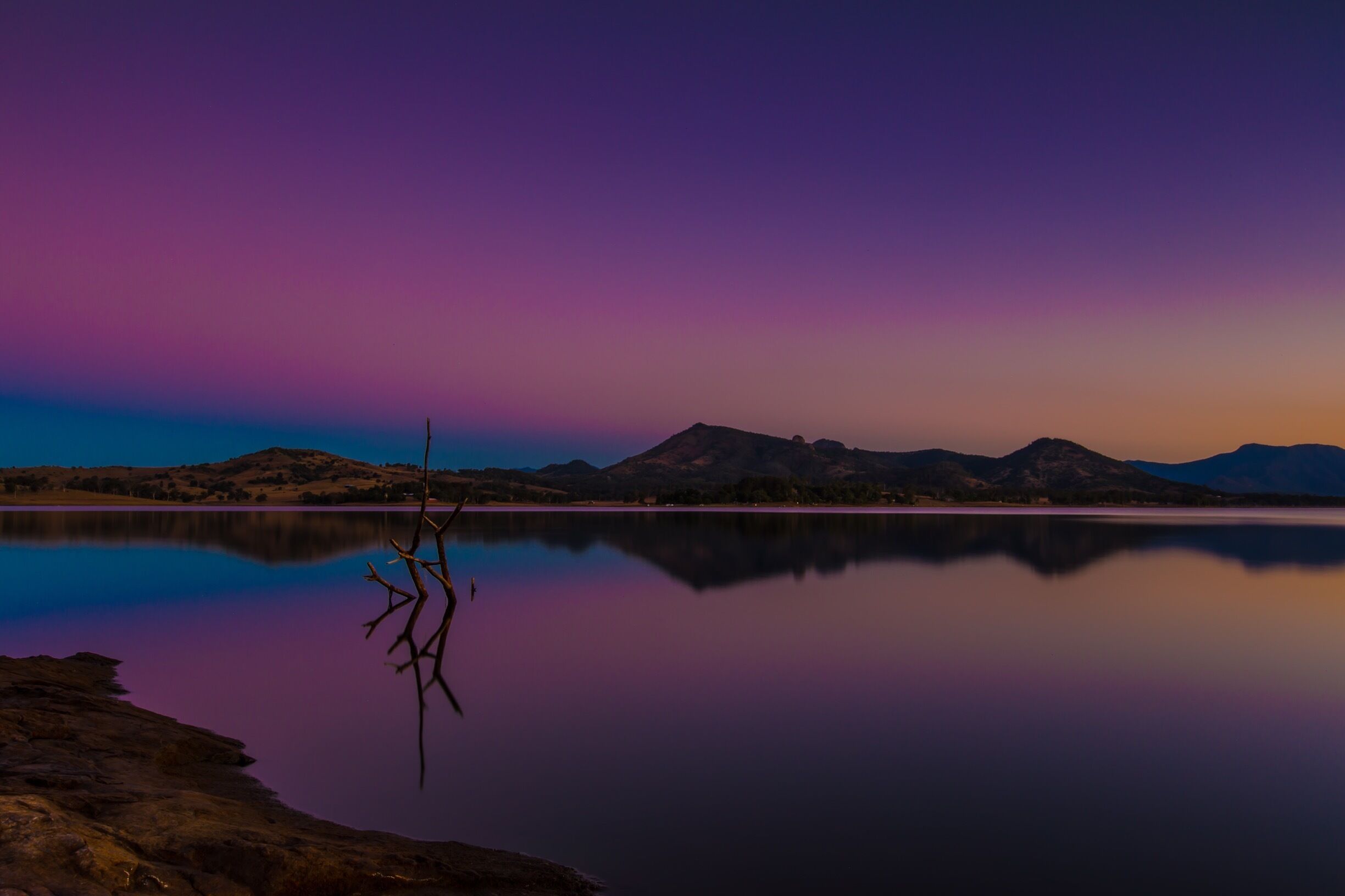 A calm lake with mountains in the background and a tree in the foreground.