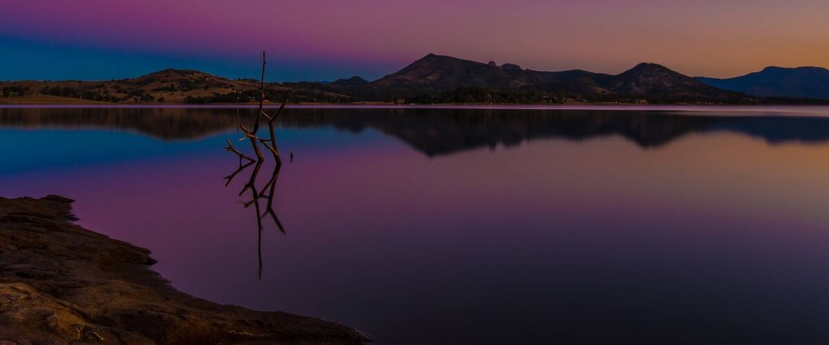 A calm lake with mountains in the background and a tree in the foreground.