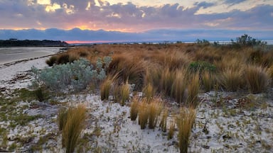 Maram grass at Yanakie Beach leading to Duck Point at sunset - overlooking Corner Inlet Marine and Coastal Park