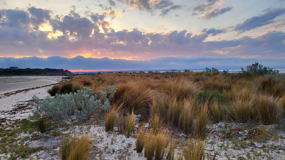 A coastal landscape with sand dunes, sparse vegetation, and a sunset sky.