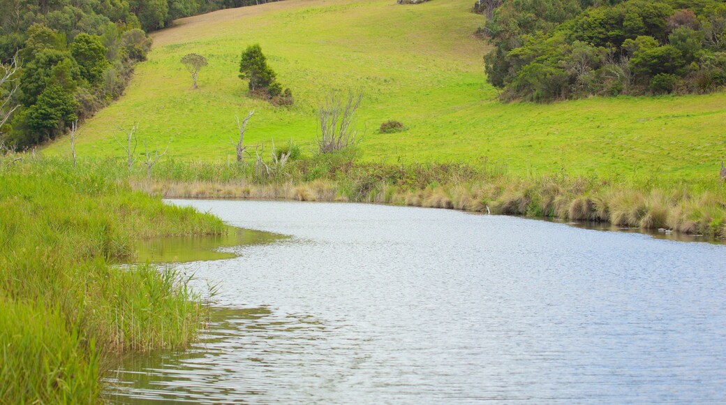 Great Ocean Road showing a river or creek