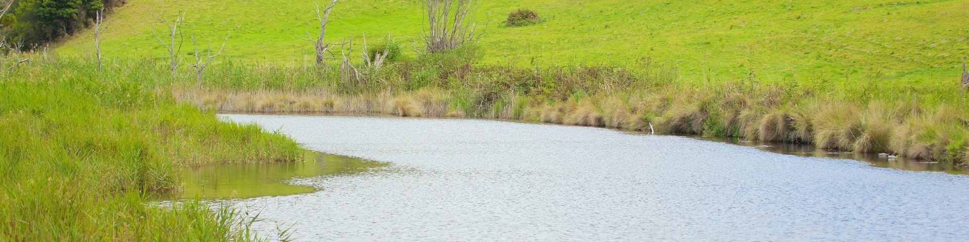 Great Ocean Road showing a river or creek