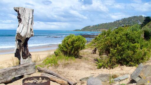 Great Ocean Road showing general coastal views