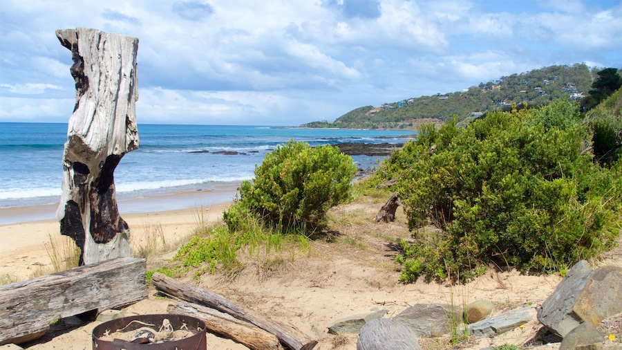 Great Ocean Road showing general coastal views
