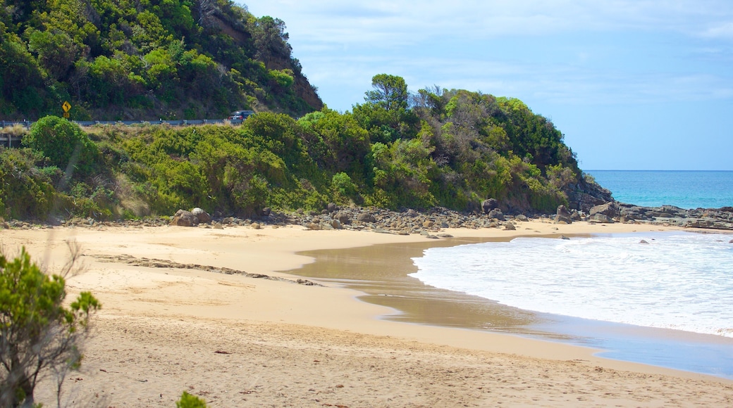 Great Ocean Road which includes a beach