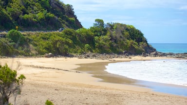 Great Ocean Road which includes a sandy beach