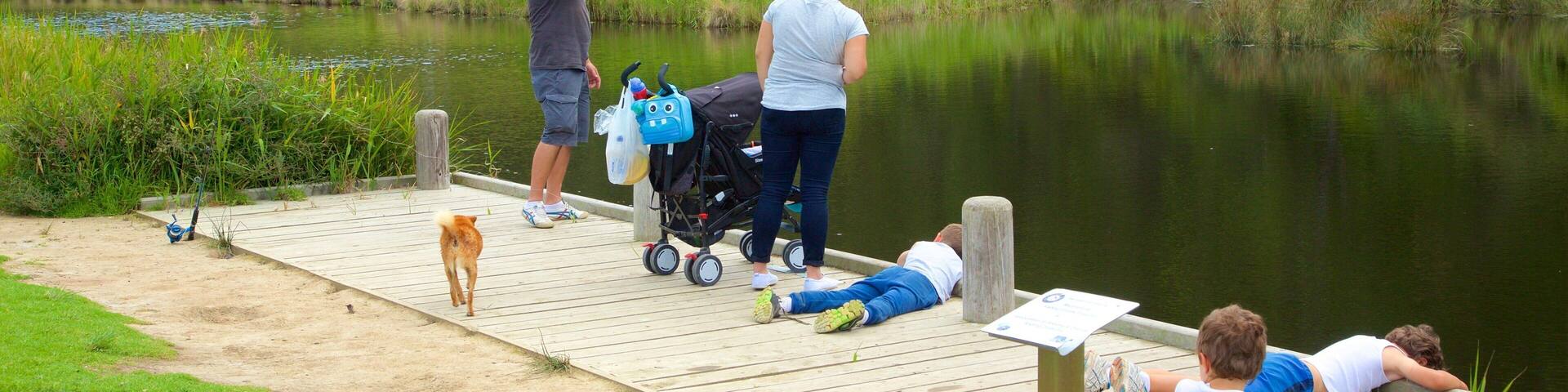 Great Ocean Road which includes a river or creek as well as a family