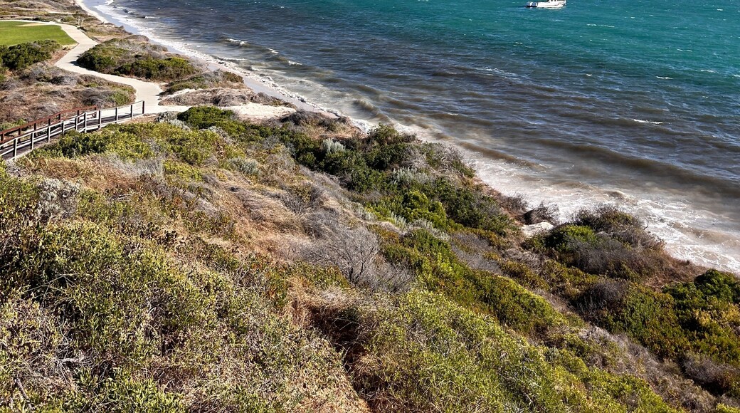 ๋ ์ง ํฌ์ธํธ