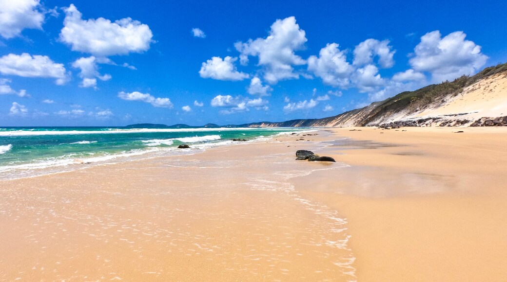 ๋ ์ง ํฌ์ธํธ