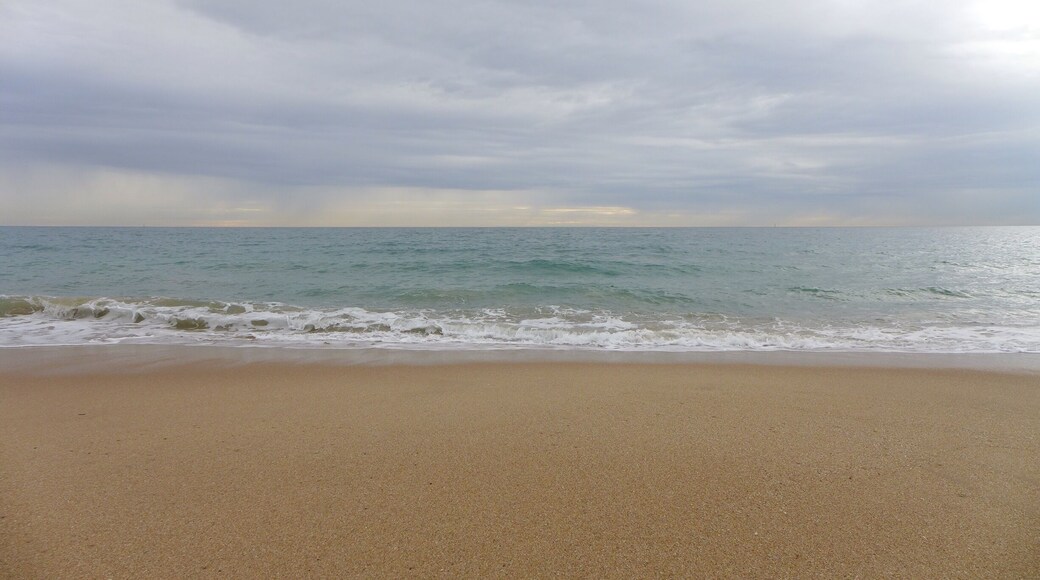 Silver Sands Beach, always a beautiful beach.