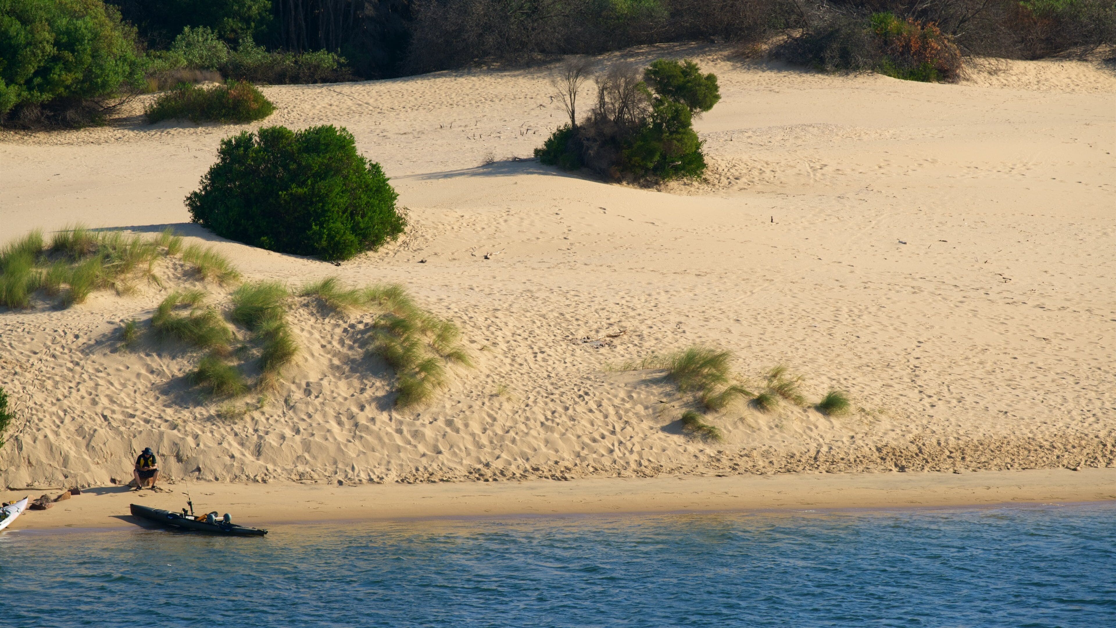 A sandy beach with sparse vegetation and a calm sea.