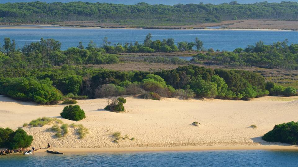 A coastal landscape with a sandy beach, dense greenery, and a calm sea.