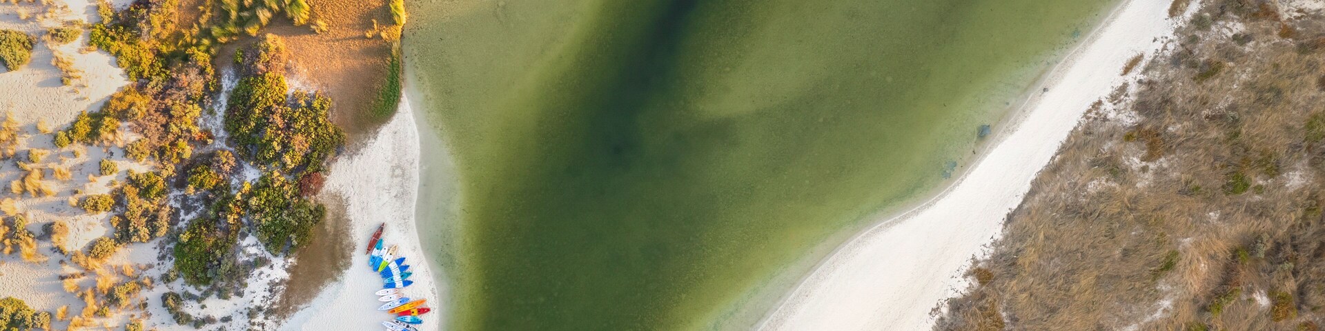 Vista aérea de una playa con aguas cristalinas, orilla arenosa y algo de vegetación.