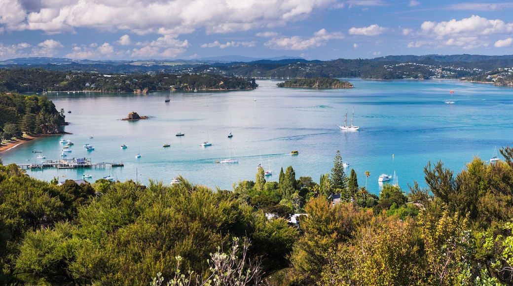 Bay of Islands seen from Flagstaff Hill in Russell, Northland Region, North Island, New Zealand
