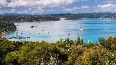 A coastal bay with clear turquoise waters, numerous boats, and lush green hills in the background.