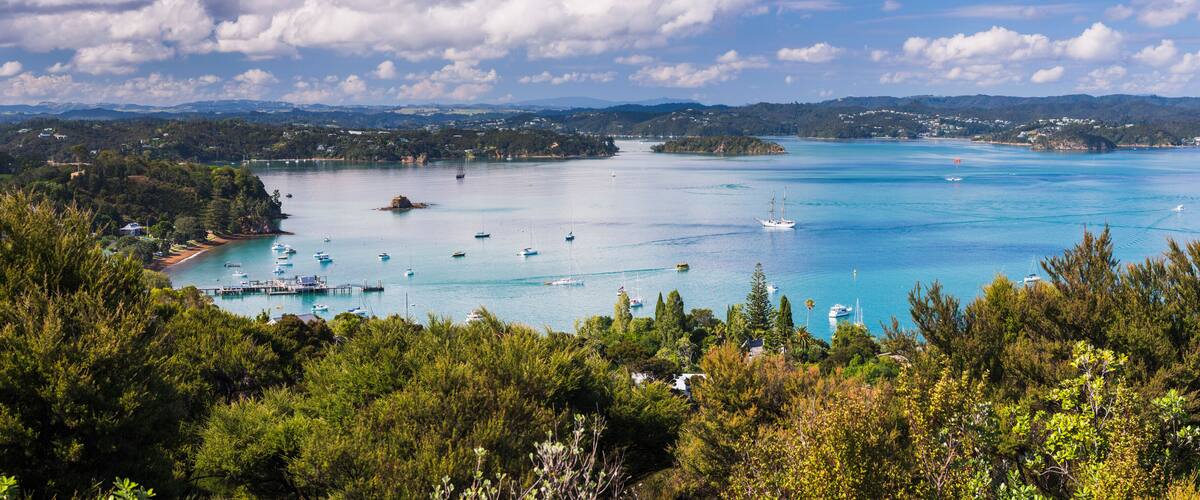 A coastal bay with clear turquoise waters, numerous boats, and lush green hills in the background.