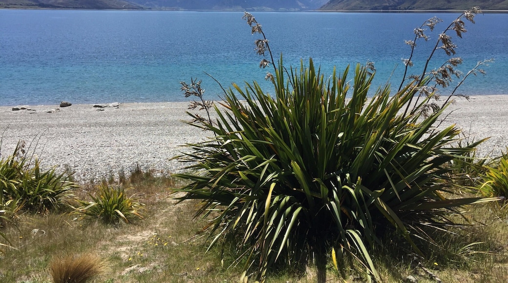Great place to chill! Stayed for a while and walked along the beach. I think if I had to pick a place to die at this would be it!
