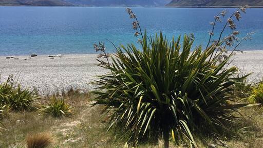 Great place to chill! Stayed for a while and walked along the beach. I think if I had to pick a place to die at this would be it!