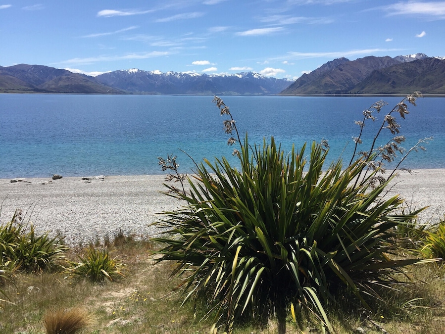 Great place to chill! Stayed for a while and walked along the beach. I think if I had to pick a place to die at this would be it!