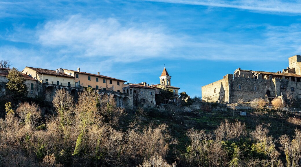 Licciana Nardi