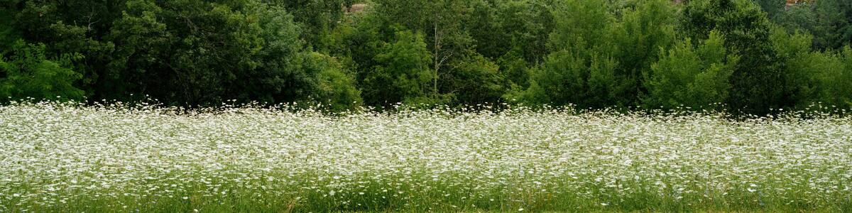 Mountain landscape in Lunigiana near Fivizzano and Licciana Nardi, Tuscany, Italy